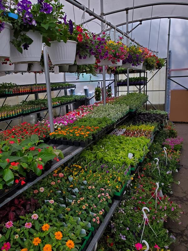 Stanford Home Centers Leechburg, PA